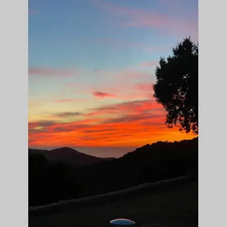 Avec Jardin -alentours Ajaccio Centre *