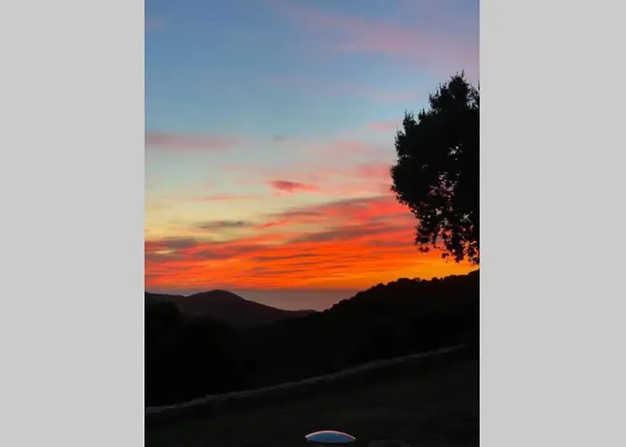 Avec Jardin -alentours Ajaccio Centre *