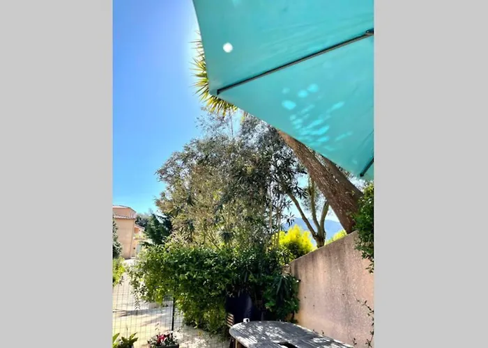 Avec Jardin -alentours Ajaccio Centre Apartamento Alata